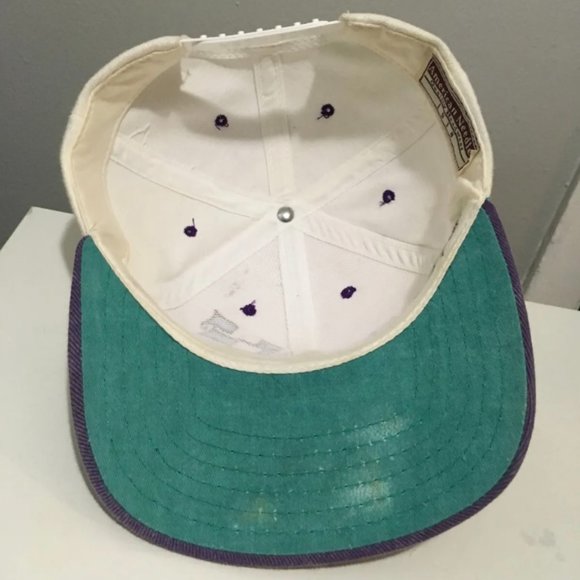 Vintage American Needle Pocono Raceway Signed NASCAR Racing Snapback Hat Purple - Picture 6 of 7